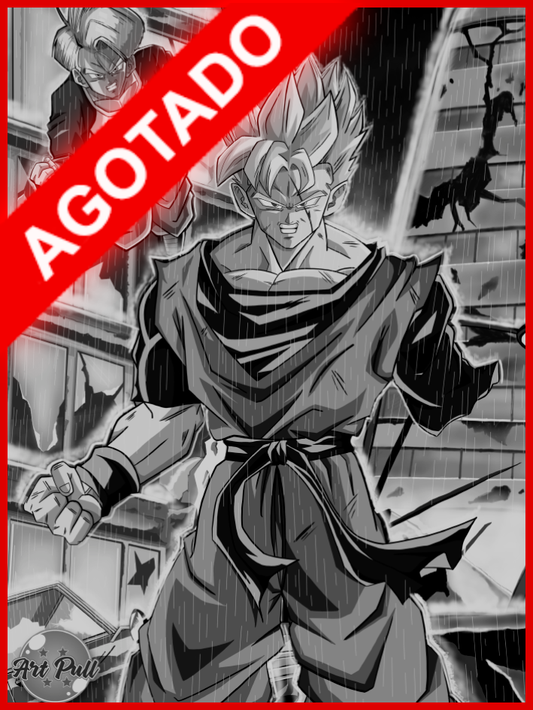 LÁMINA DRAGON BALL Z FUTURE GOHAN